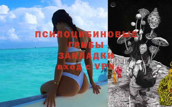 дмт Алексеевка