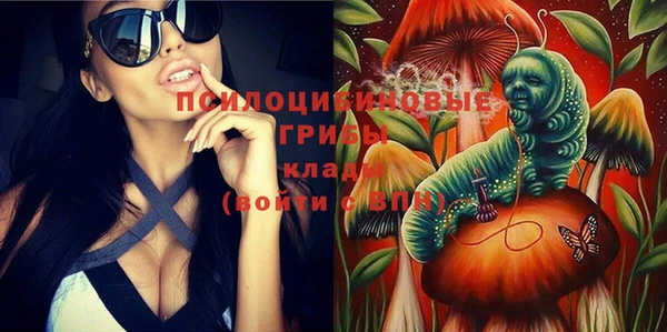 герыч Алексин