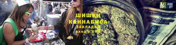 PSILOCYBIN Нягань