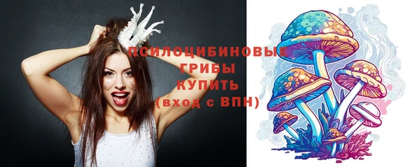 герыч Алексин