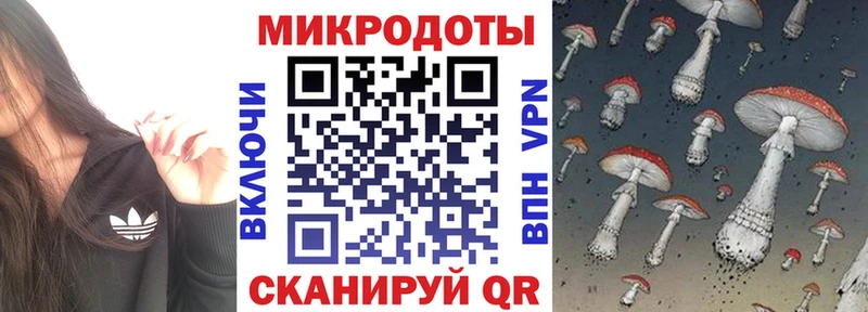 Псилоцибиновые грибы Cubensis  Харабали 